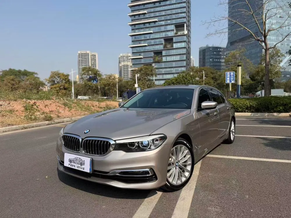 BMW 5-Series, 2019