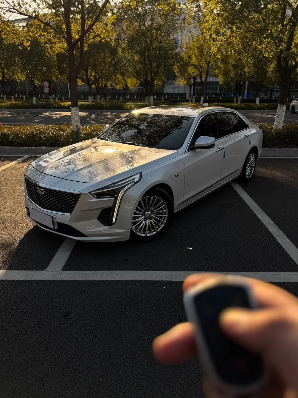 Cadillac CT6, 2020
