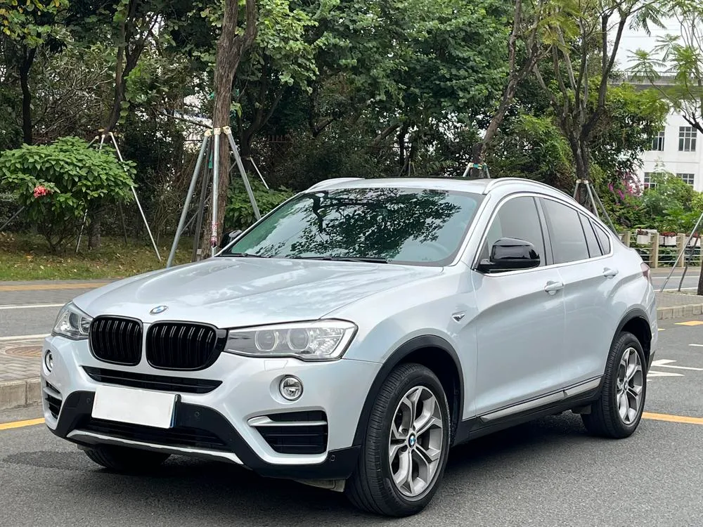 BMW X4 xDrive20i X, 2014 — фото 1