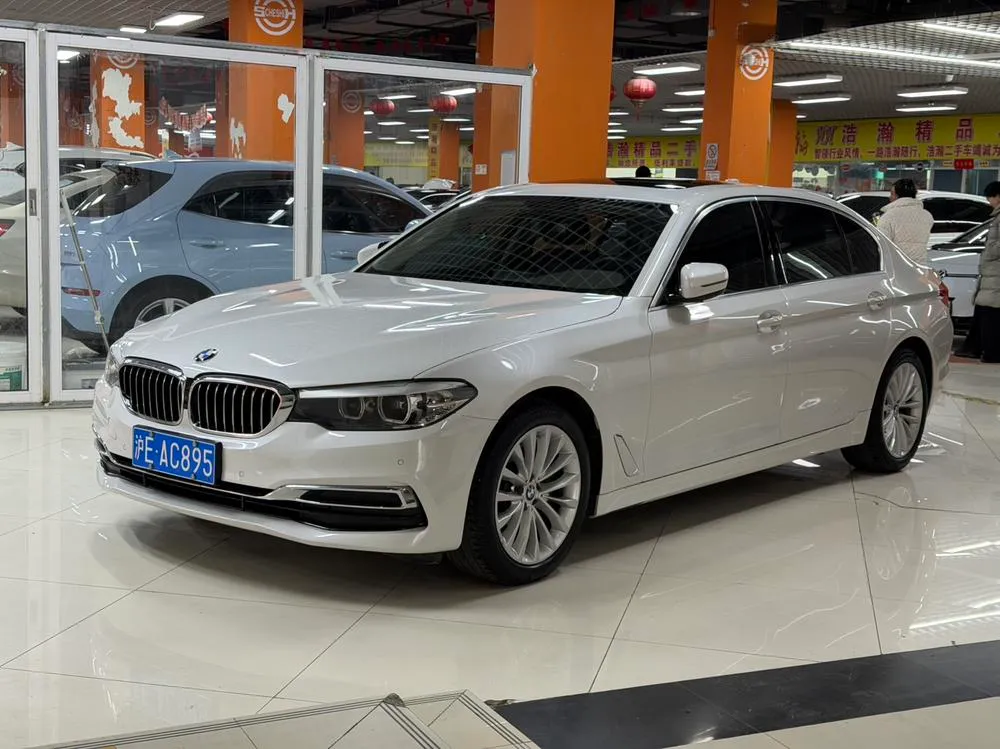BMW 5-Series 525Li Luxury, 2020 — фото 1