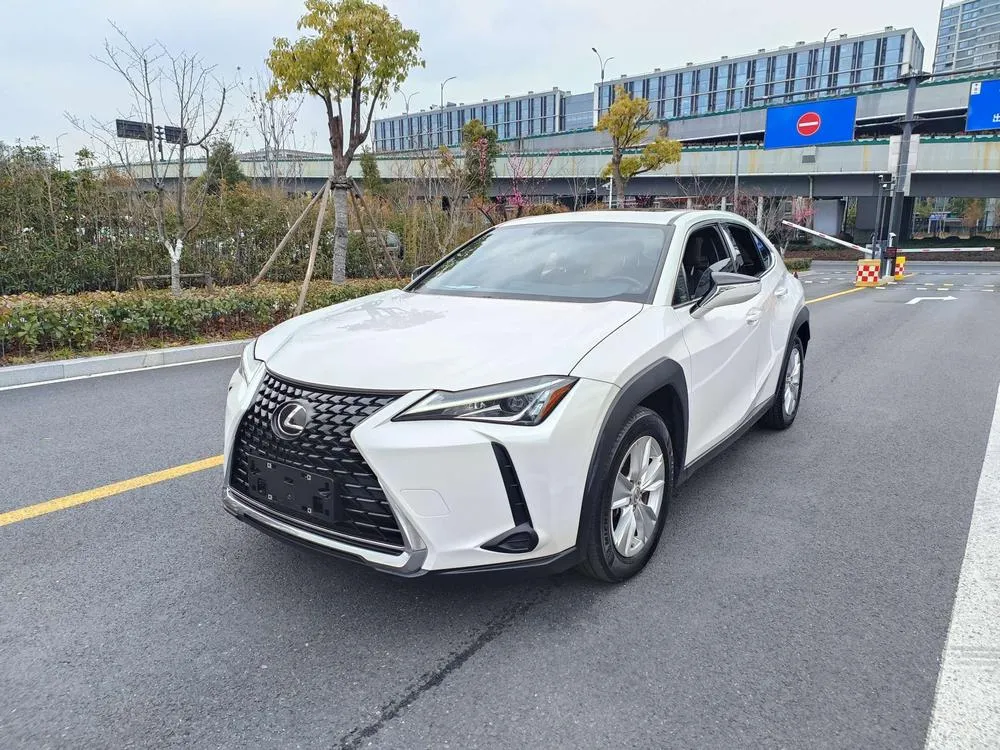 Lexus UX 200 Special Edition, 2020 — фото 1