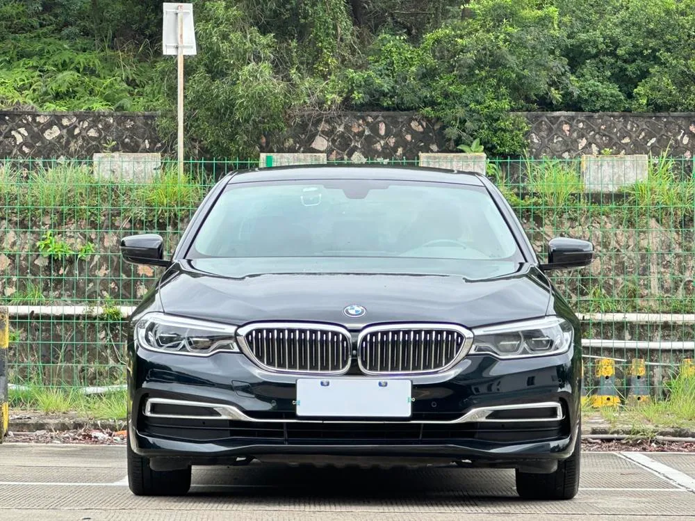 BMW 5-Series 530Li Leading Version Luxury, 2020 — фото 1