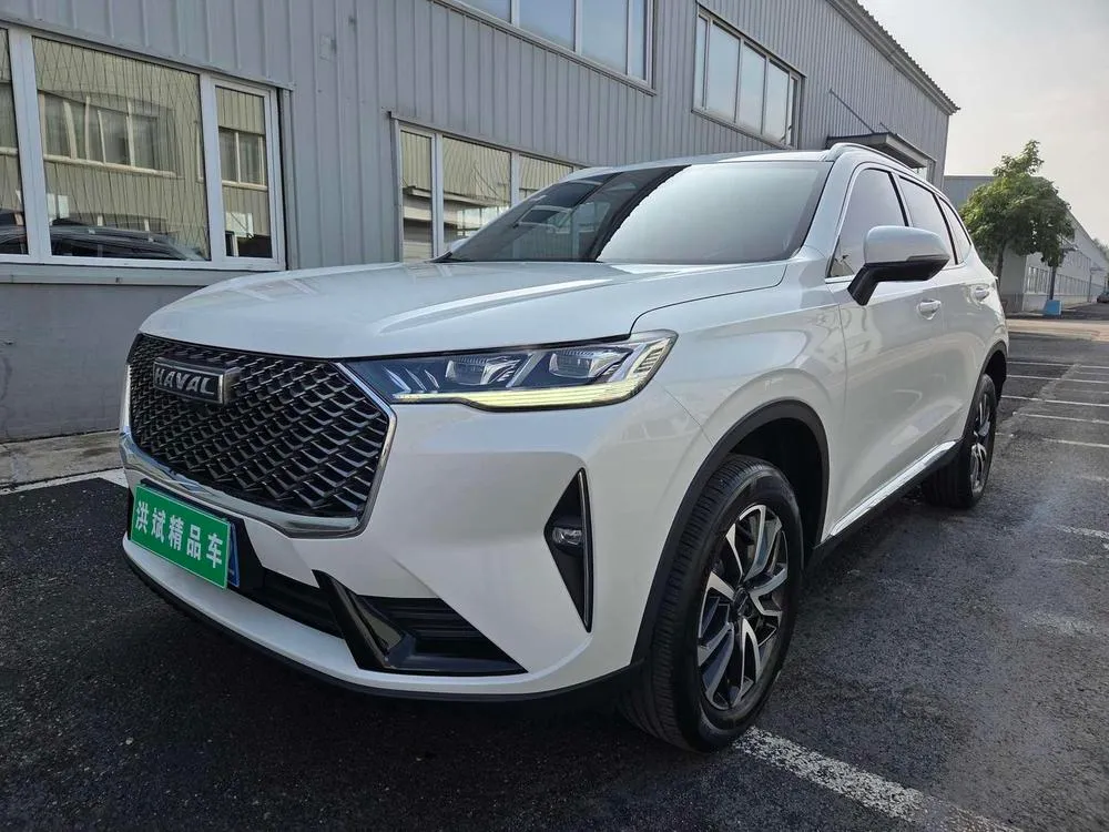 Haval H6 1.5GDIT Auto Pro Edition, 2021 — фото 1