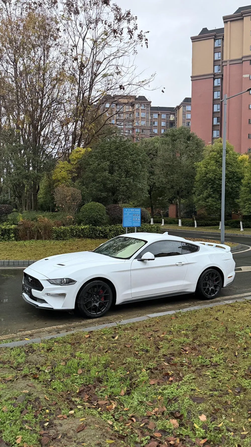 Ford Mustang 2.3T EcoBoost, 2020 — фото 1