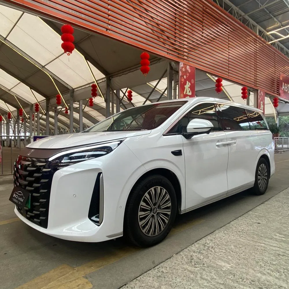 BYD Xia, 2025
