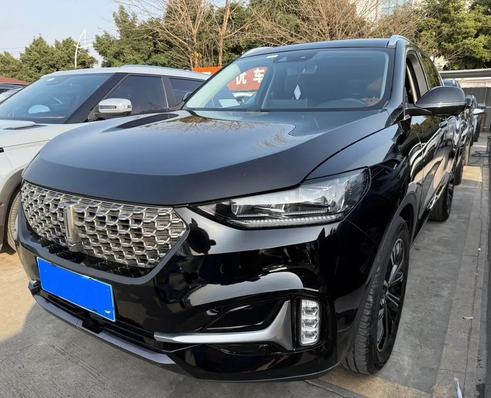 Wey VV6 2.0T 2WD Smart +, 2021 — фото 1