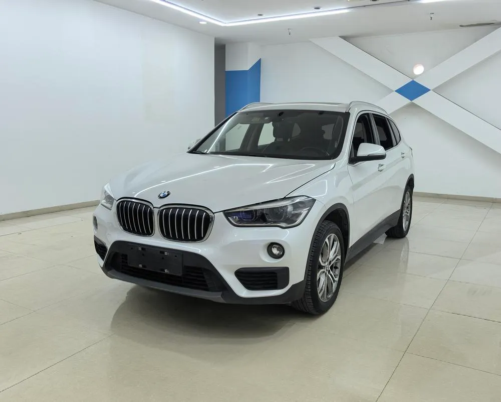 BMW X1 sDrive20Li Leading Version, 2019 — фото 1