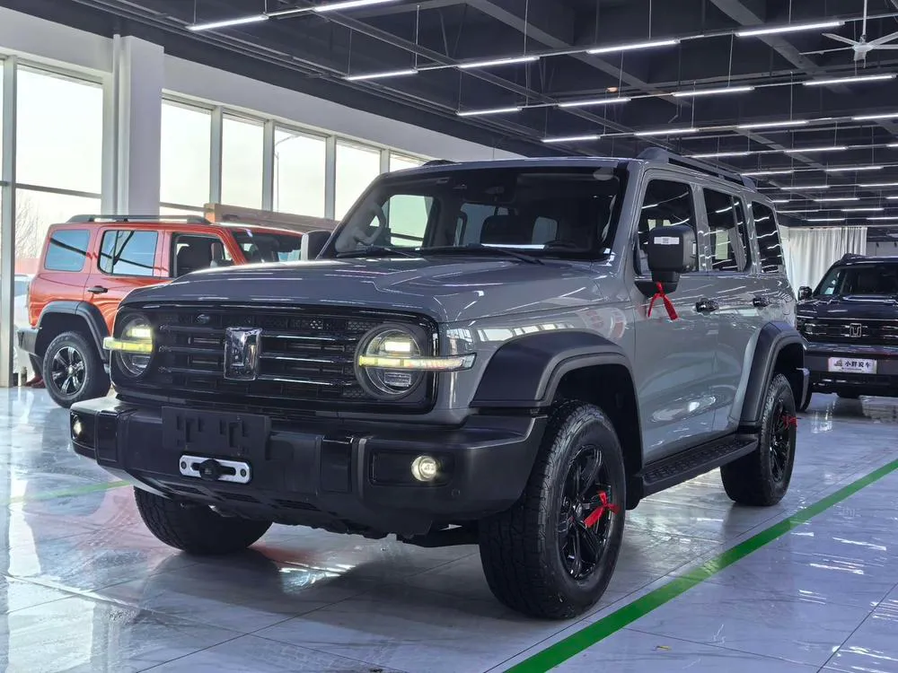Tank 300 Offroad Edition 2.0T, 2021 — фото 1