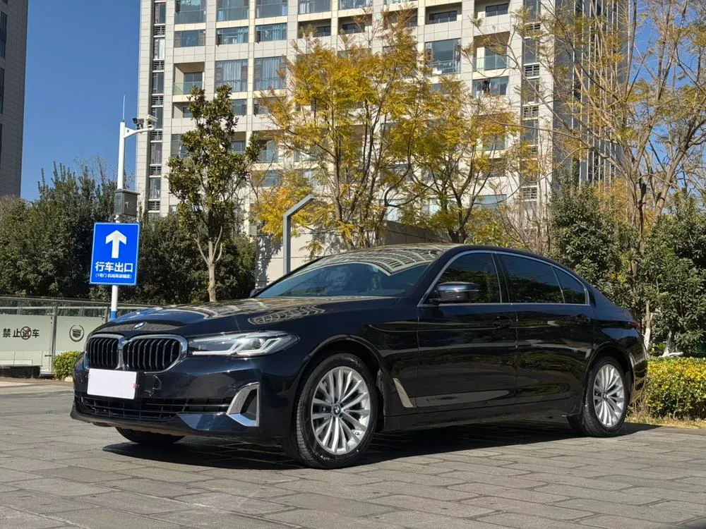 BMW 5-Series 525Li Luxury, 2021 — фото 1
