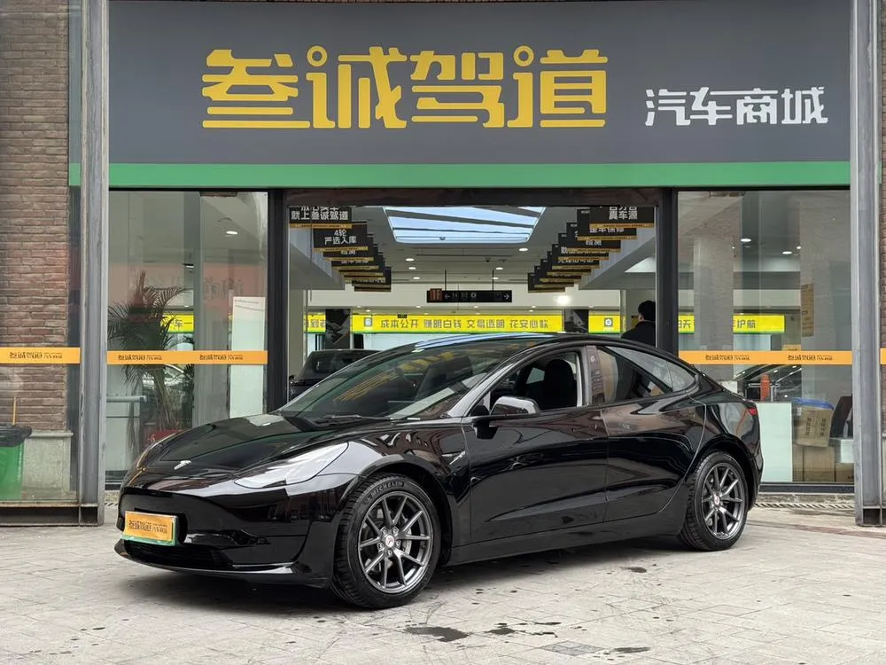 Tesla Model 3 Standard Range RWD Upgraded Edition, 2021 — фото 1