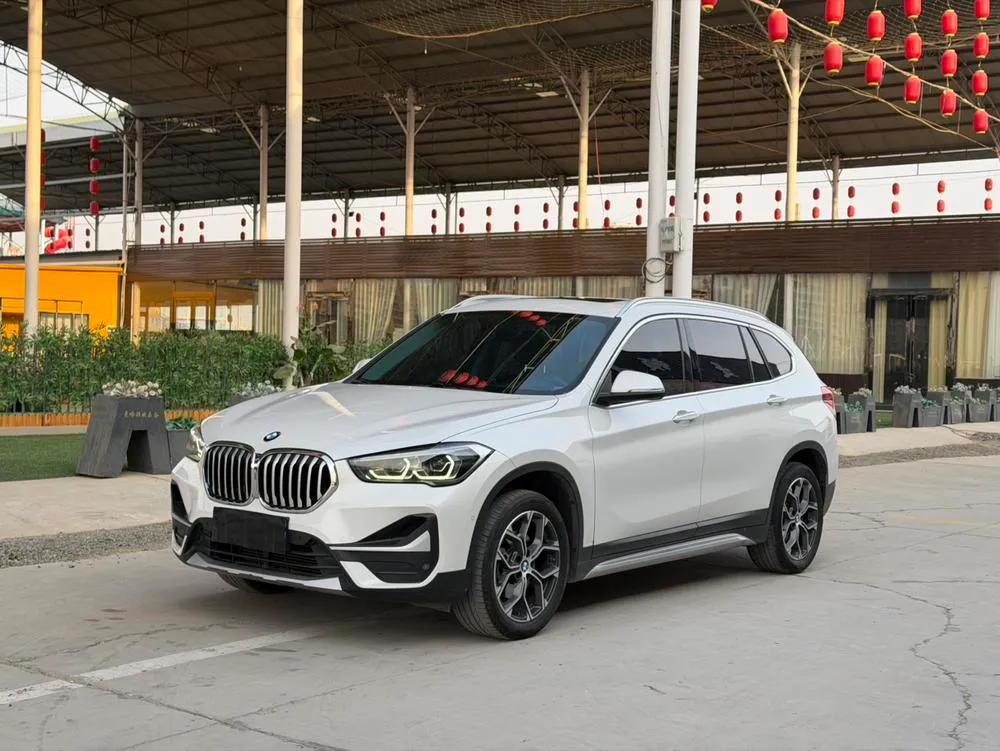 BMW X1 sDrive20Li Prestige Version, 2020 — фото 1