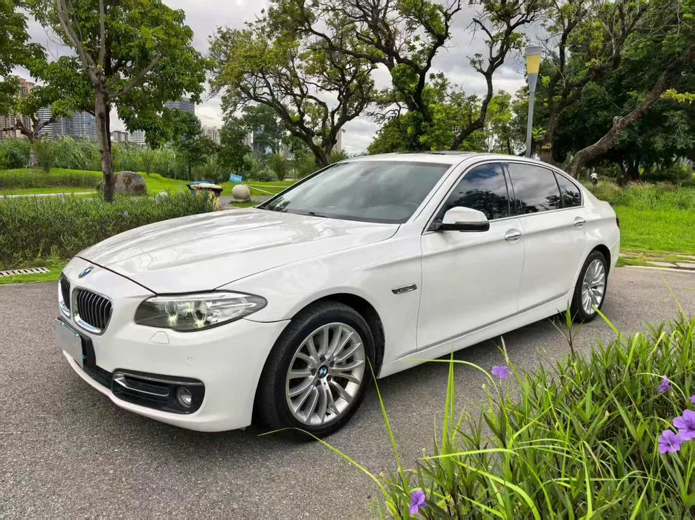 BMW 5-Series, 2014