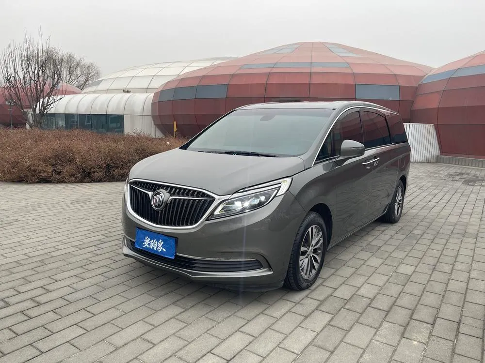 Buick GL8 ES 28T Luxury Version CN5, 2017 — фото 1