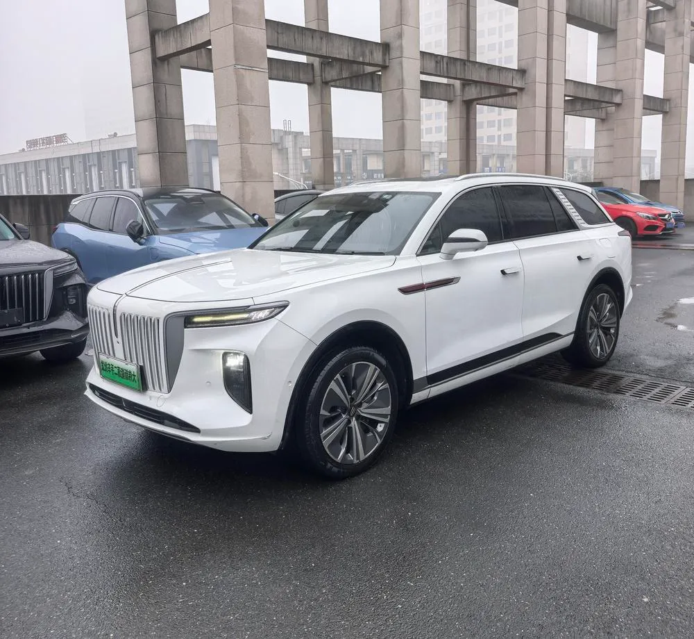 Hongqi E-HS9, 2020