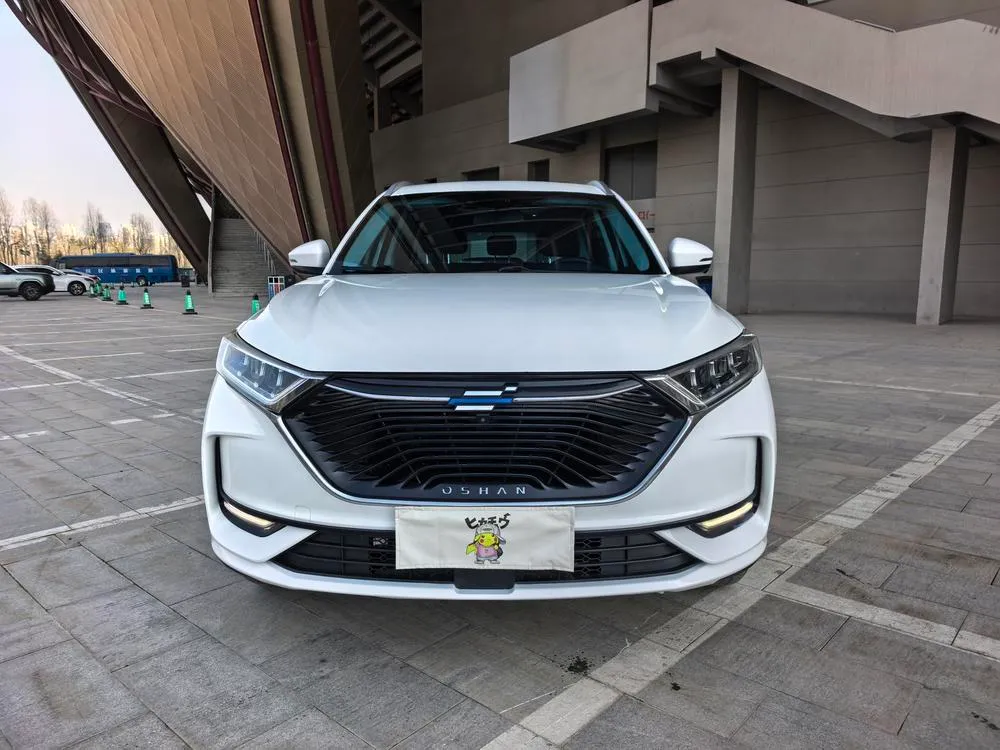 Changan Oshan X7 1.5T Auto Prestige Version, 2021 — фото 1
