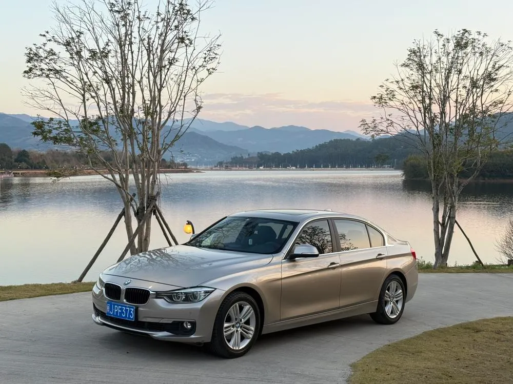 BMW 3-Series 320Li Fashion Version, 2016 — фото 1