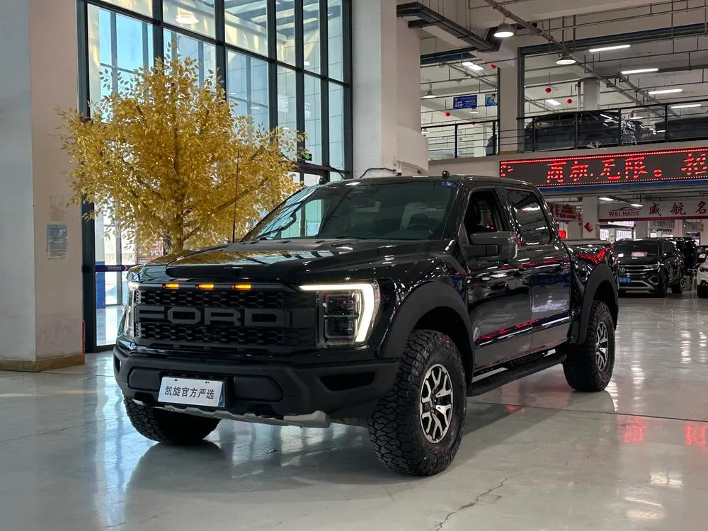 Ford F-150 Raptor EcoBoost 3.5T V6, 2022 — фото 1