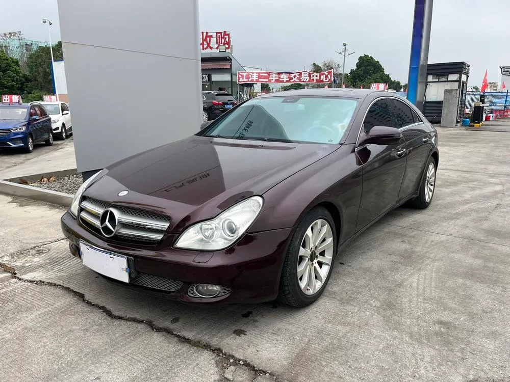 Mercedes-Benz CLS CLS 300, 2009 — фото 1