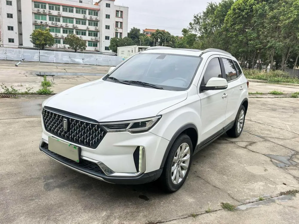 Besturn Bestune T33 1.6L Auto Luxury Version CN6, 2019 — фото 1