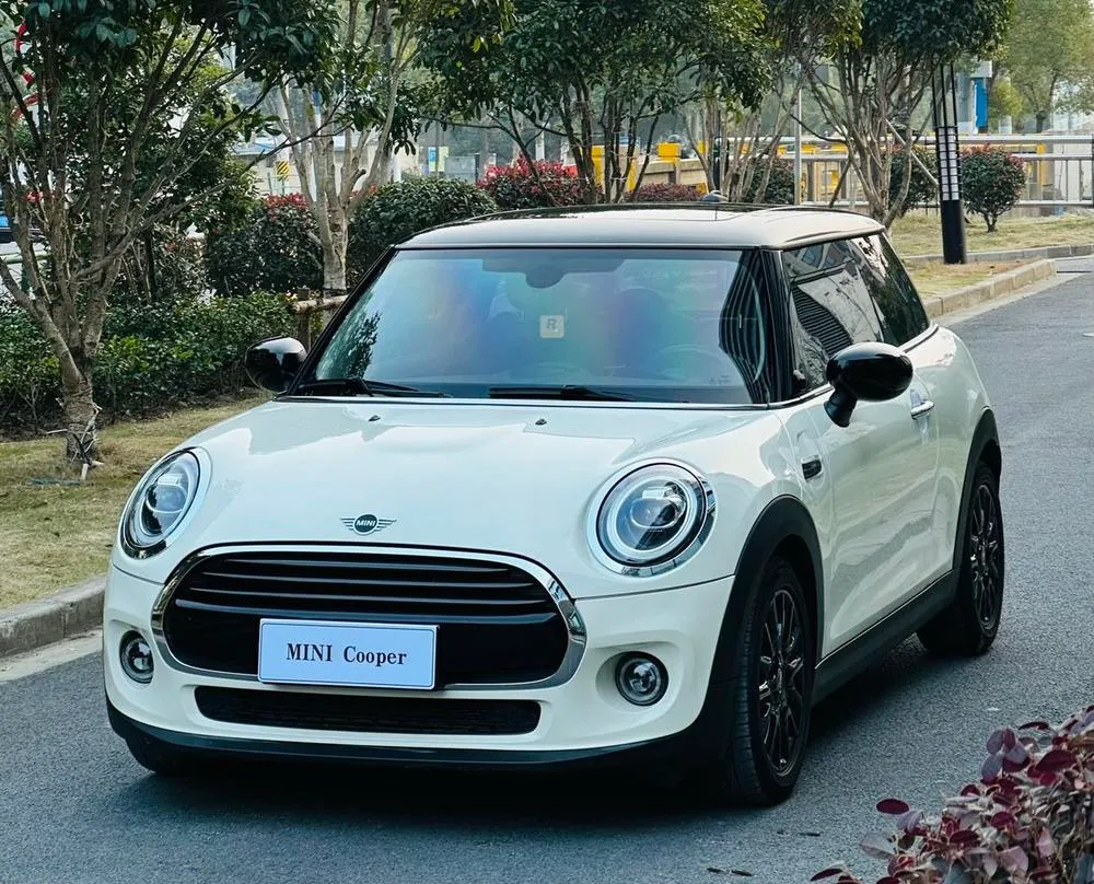 MINI MINI, 2019