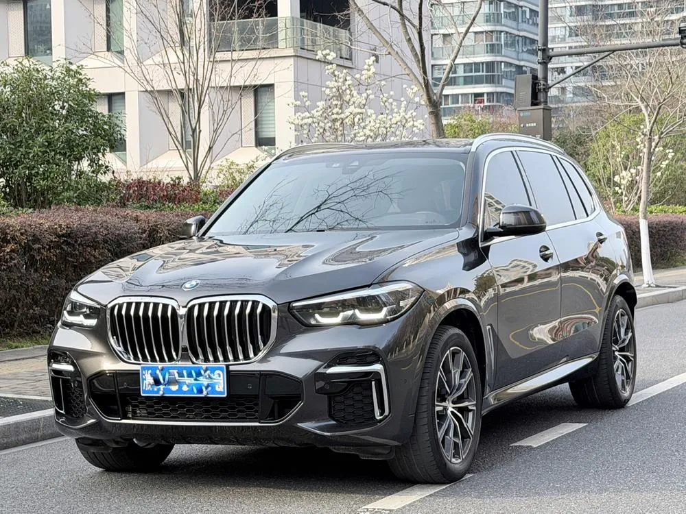 BMW X5 Facelift xDrive 30Li M Sport, 2022 — фото 1