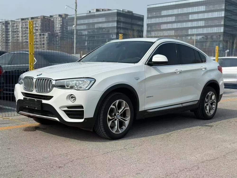 BMW X4 xDrive20i X, 2014 — фото 1