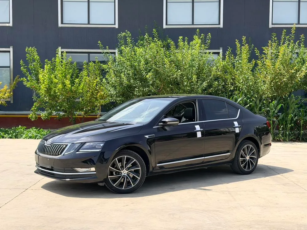 Skoda Octavia TSI280 DSG Luxury Edition CN6, 2019 — фото 1