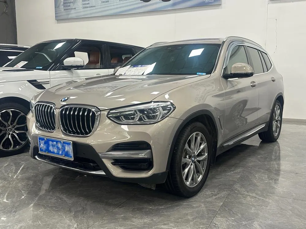 BMW X3 xDrive25i Luxury, 2020 — фото 1