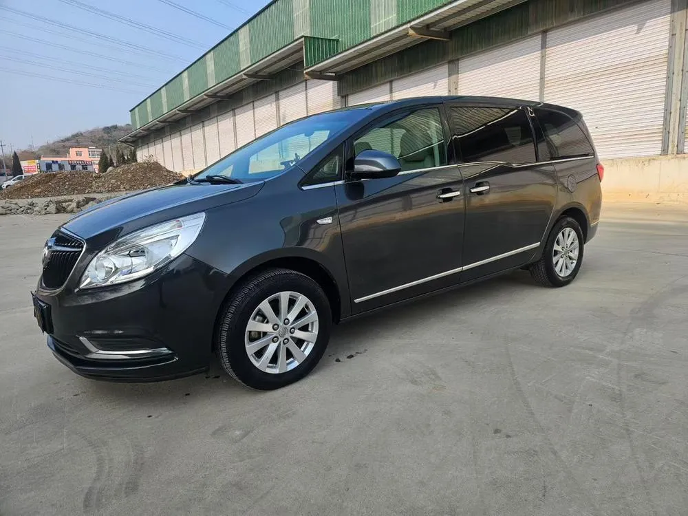 Buick GL8 25S Luxury Version CN5, 2017 — фото 1