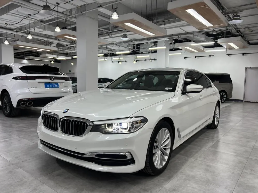 BMW 5-Series 525Li Luxury, 2020 — фото 1