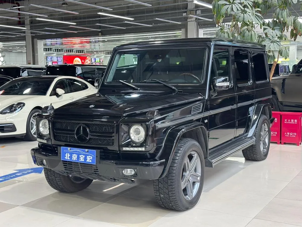 Mercedes-Benz G-Class, 2010