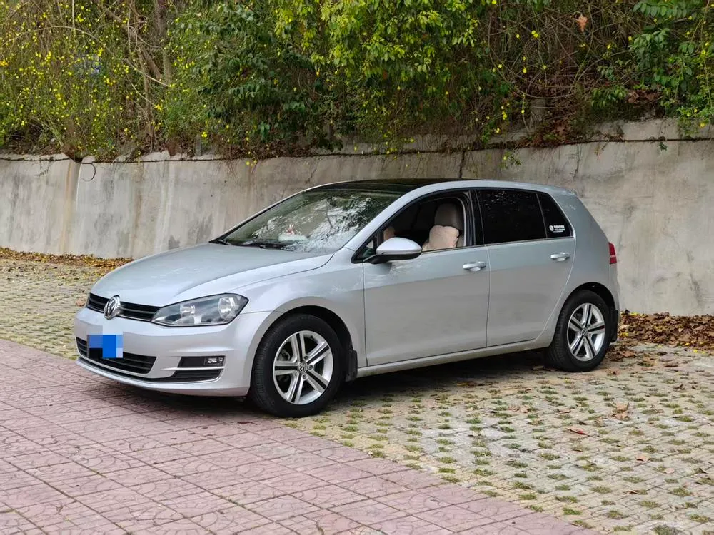 Volkswagen Golf 1.4TSI Auto Comfort Version, 2014 — фото 1