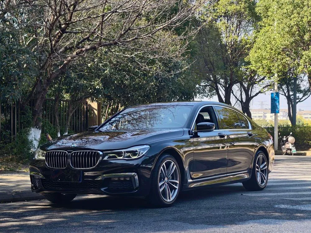 BMW 7-Series 740Li Leading Version M Sport, 2018 — фото 1