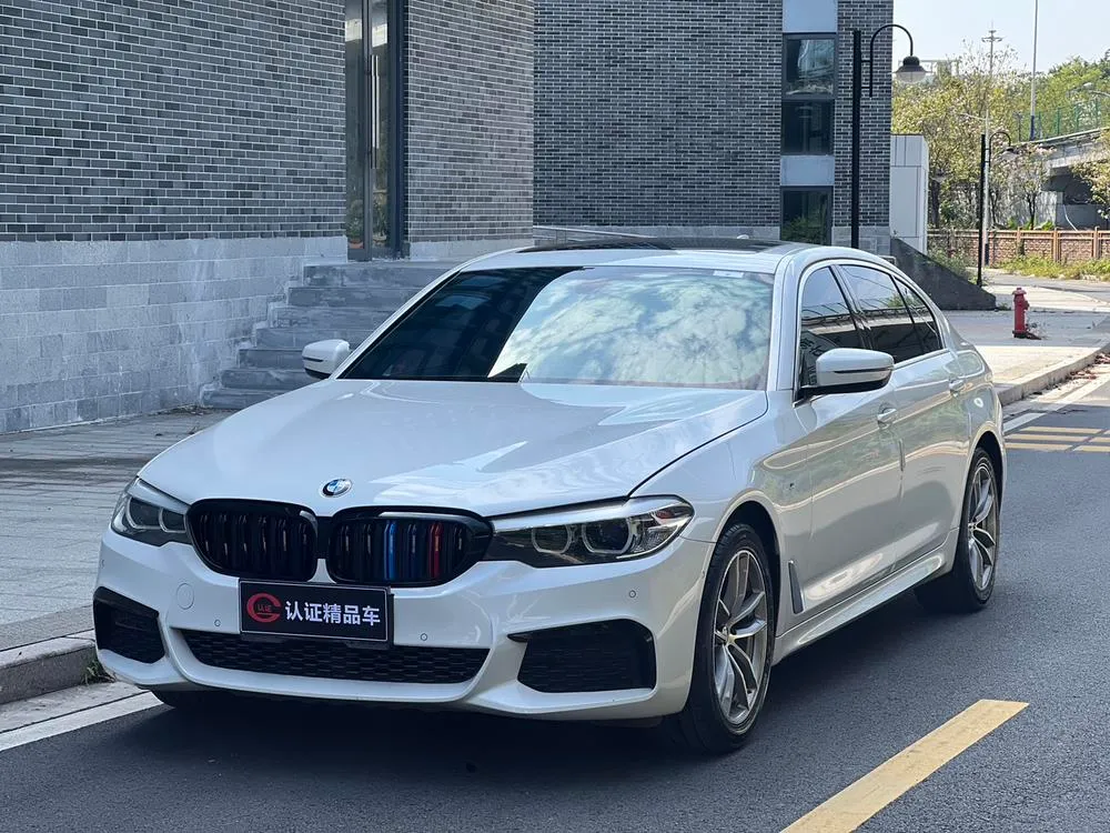 BMW 5-Series, 2020