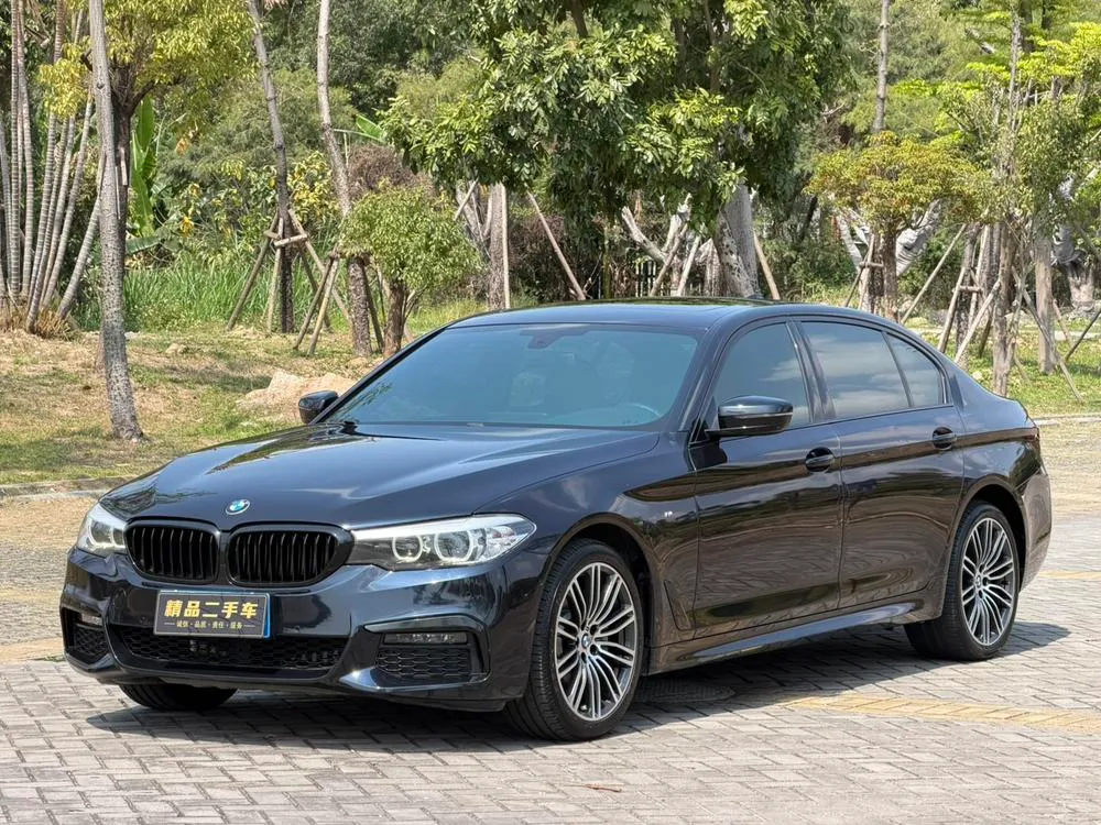 BMW 5-Series, 2019