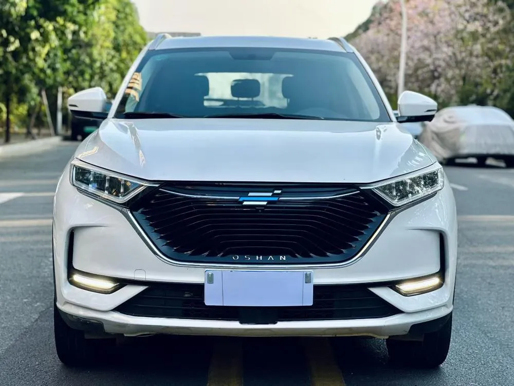 Changan Oshan X7 1.5T Auto Premium Version, 2020 — фото 1