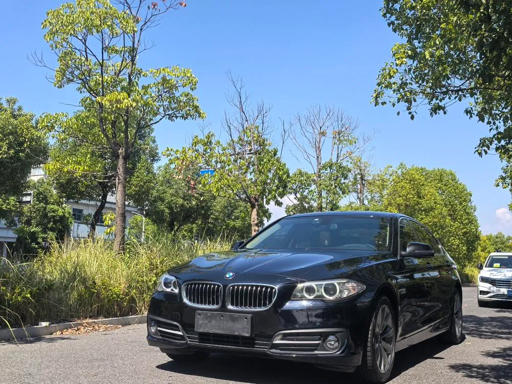 BMW 5-Series 525Li Leading Version, 2017 — фото 1