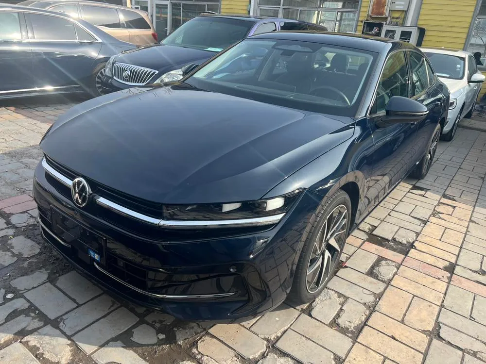 Volkswagen Magotan, 2024