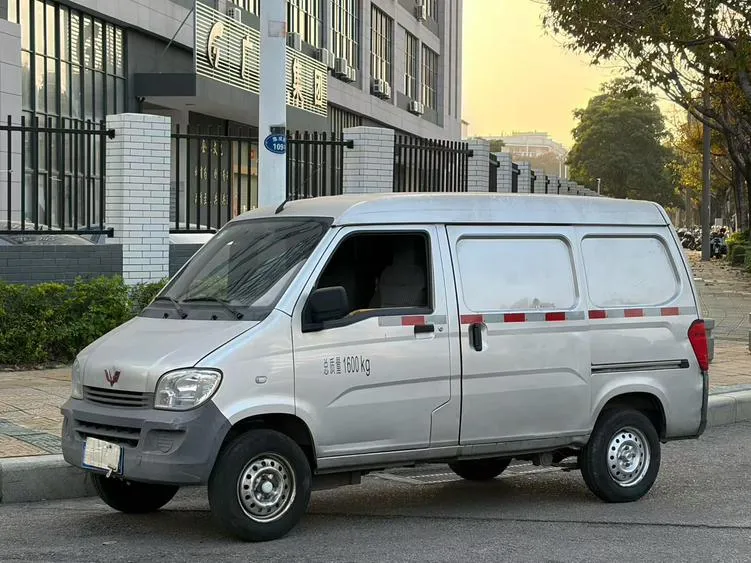 Wuling Zhiguang, 2020