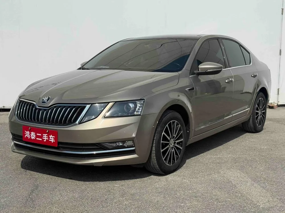 Skoda Octavia TSI230 DSG Luxury Edition, 2018 — фото 1