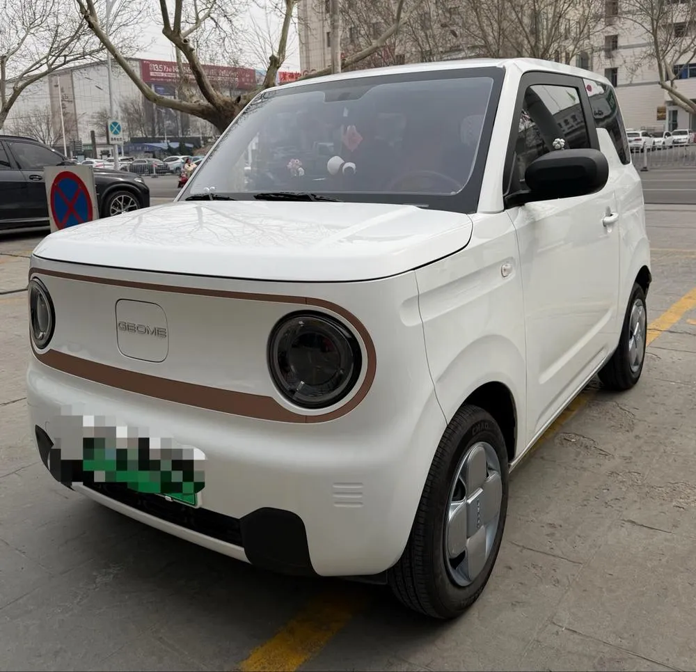 Galaxy Panda, 2024
