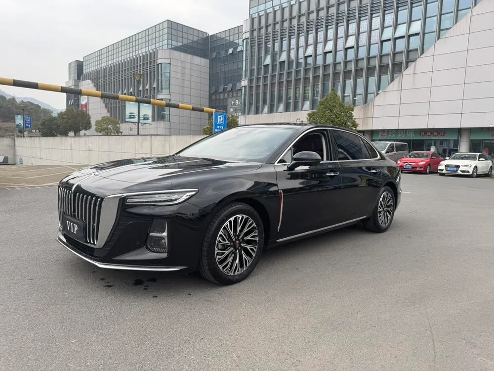 Hongqi H5, 2024
