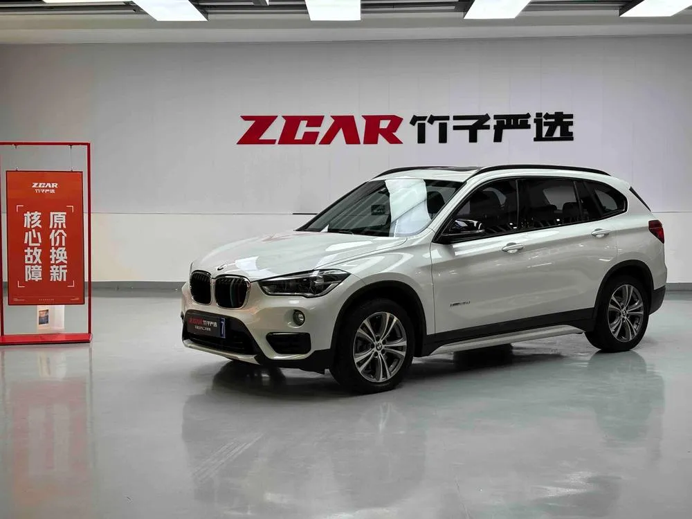 BMW X1 xDrive20Li Luxury Version, 2016 — фото 1