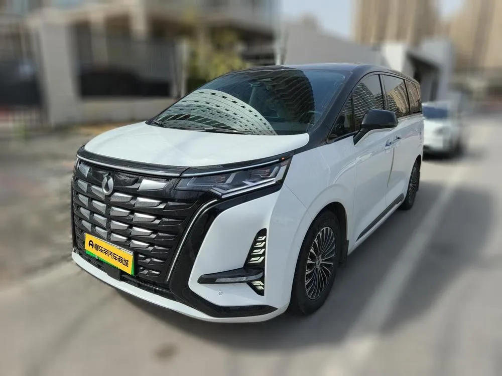 Denza D9 DM, 2024
