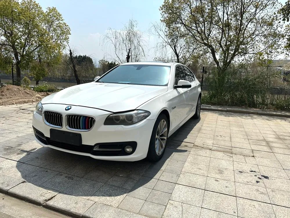 BMW 5-Series 525Li Leading Version, 2014 — фото 1