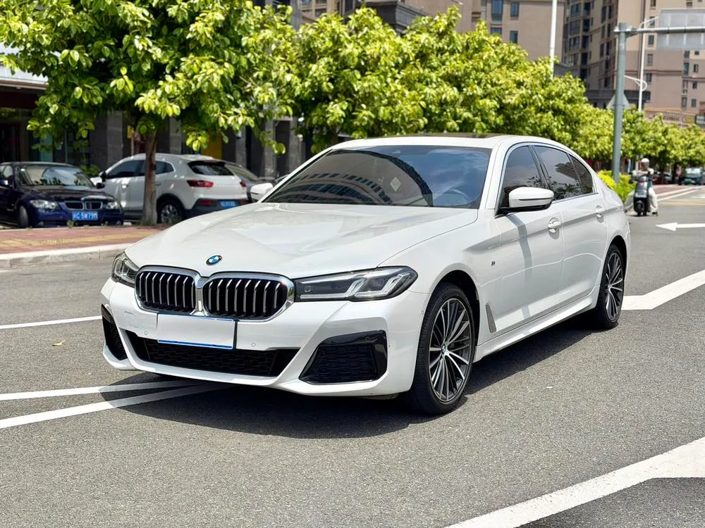 BMW 5-Series 530Li Leading Version M Sport, 2022 — фото 1