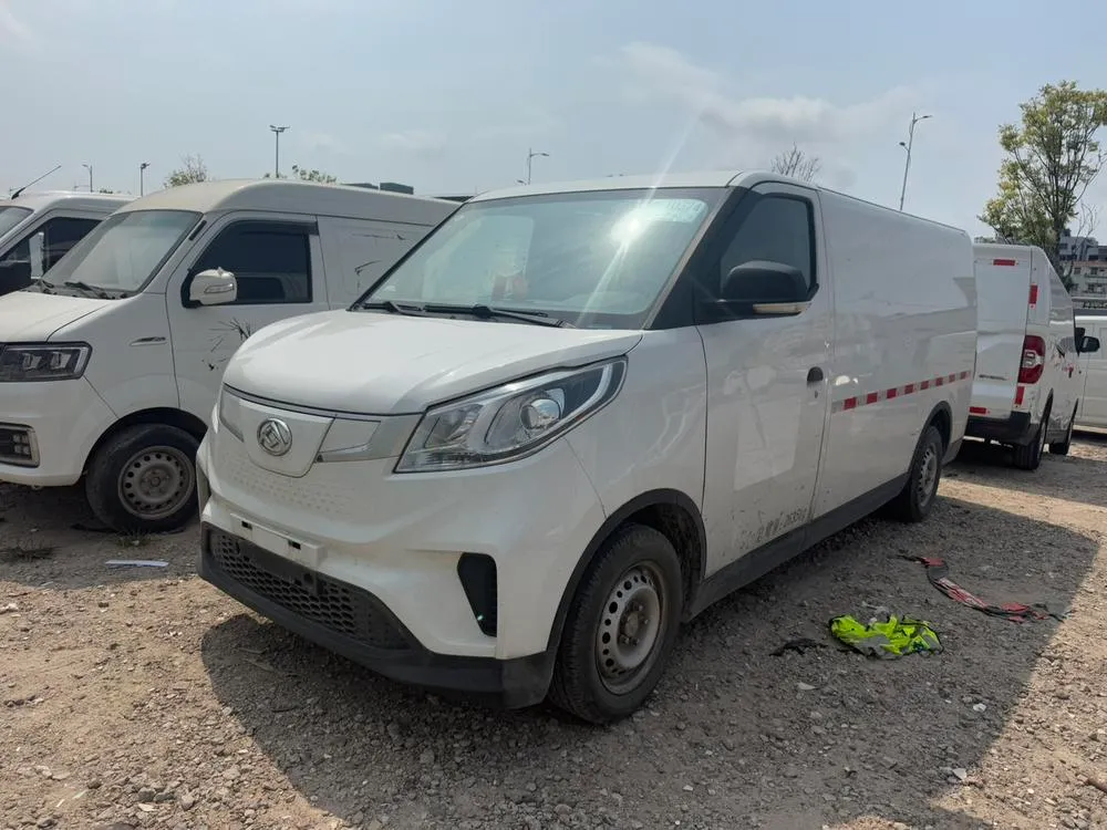 Maxus EV30, 2022