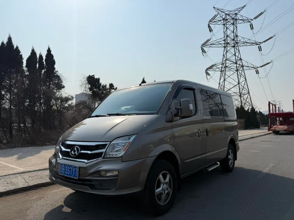 Maxus New V80, 2015