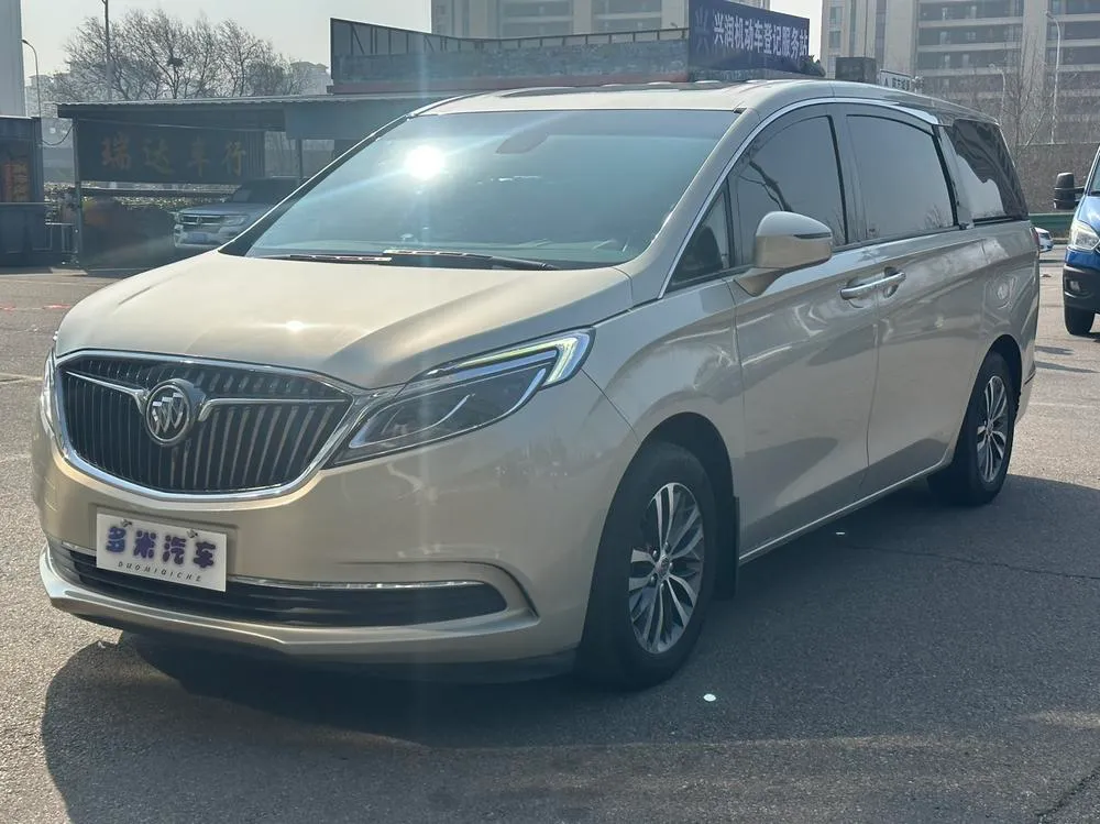 Buick GL8 ES 28T Luxury Version CN5, 2017 — фото 1