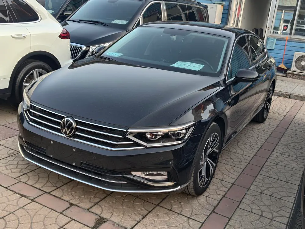 Volkswagen Magotan, 2021